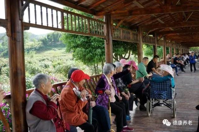 拼搏在线官网 - 首页